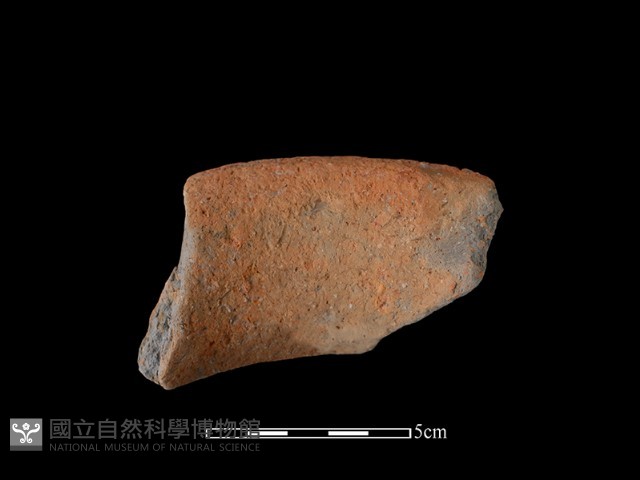 陶罐藏品圖，第1張