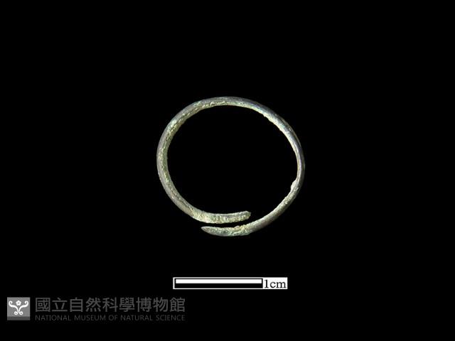 戒指藏品圖，第1張