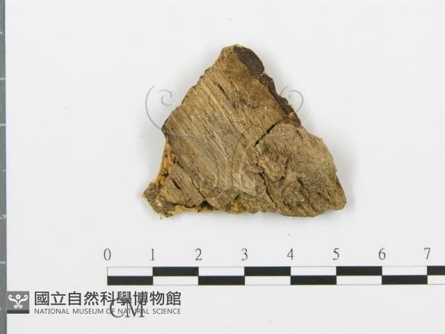 登錄號:F0006381藏品圖，第1張