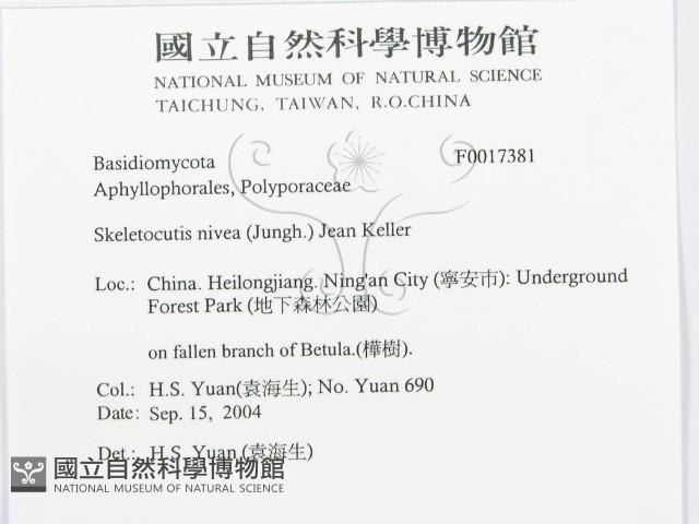 登錄號:F0017381藏品圖，第3張