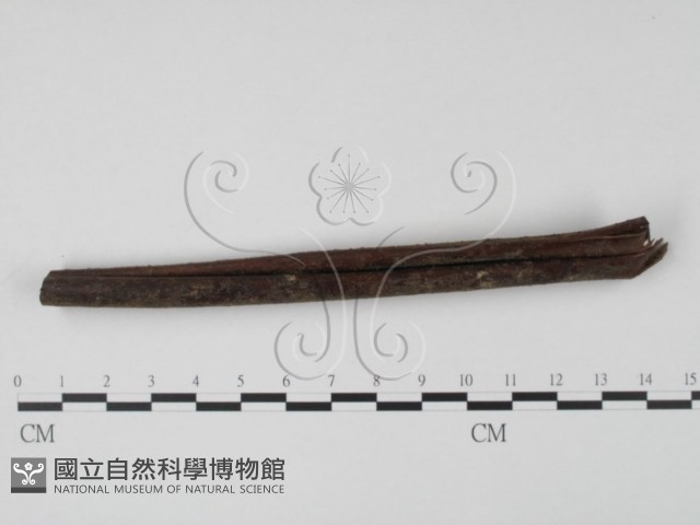 登錄號:F0005381藏品圖，第1張