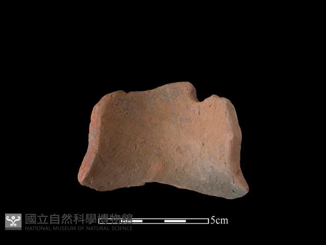 連杯形器藏品圖，第1張