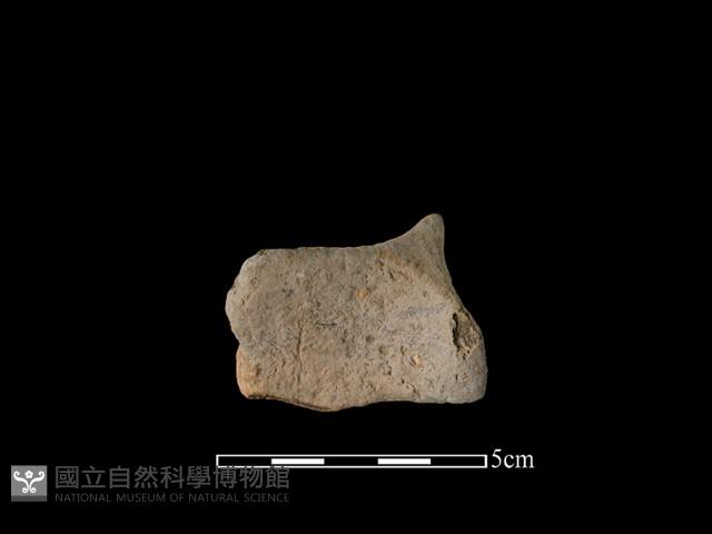 連杯形器藏品圖，第2張