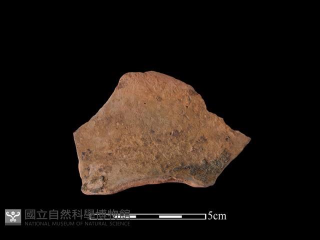 連杯形器藏品圖，第1張