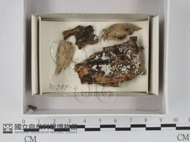 登錄號:F0018024藏品圖，第1張
