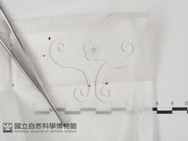 登錄號:F0000204藏品圖，第1張