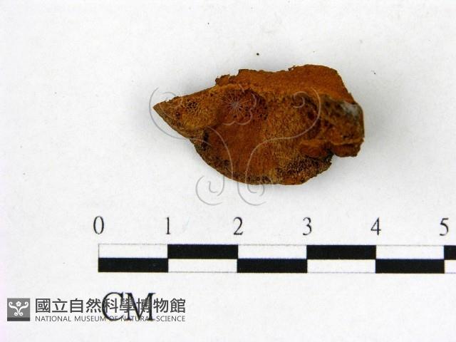 登錄號:F0007204藏品圖，第1張