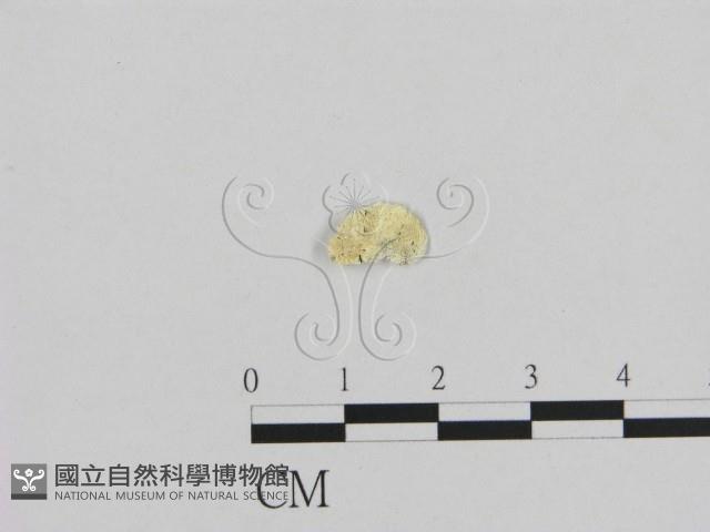 登錄號:F0009604藏品圖，第1張