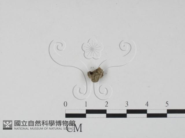 登錄號:F0007404藏品圖，第1張