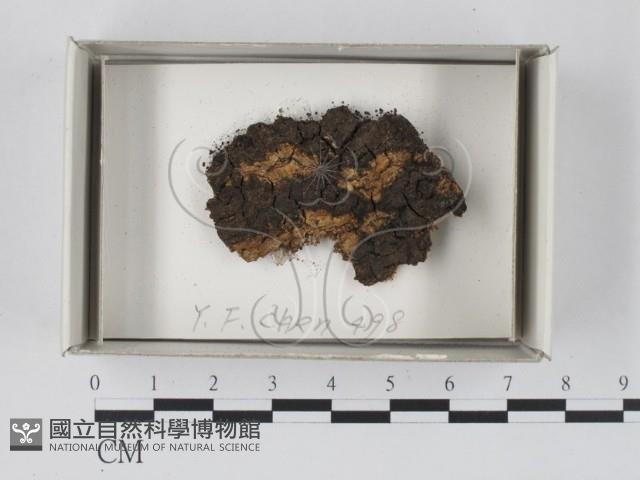 登錄號:F0018504藏品圖，第1張