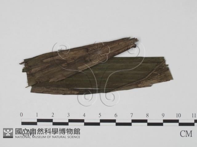 登錄號:F0019504藏品圖，第1張