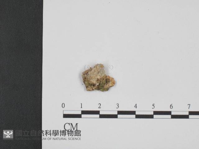 登錄號:F0004104藏品圖，第1張