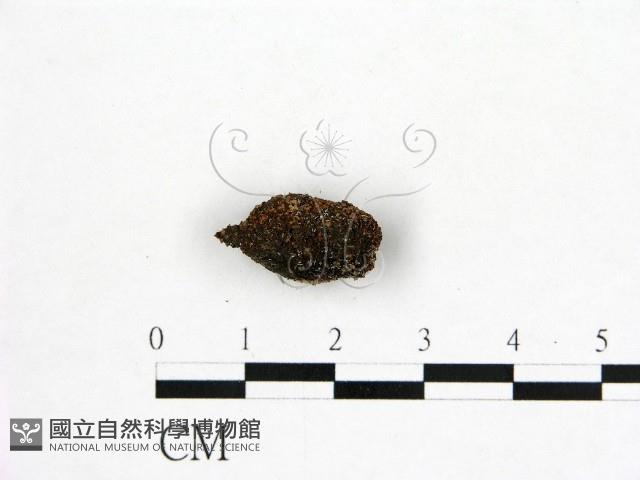 登錄號:F0002104藏品圖，第1張
