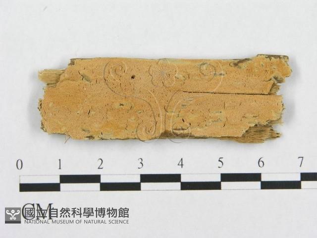 登錄號:F0007104藏品圖，第1張