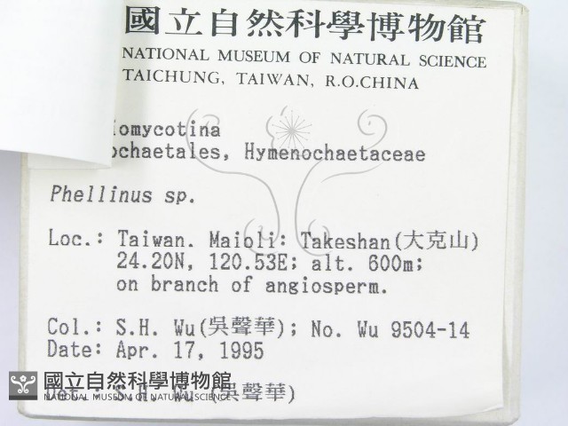 登錄號:F0003104藏品圖，第3張
