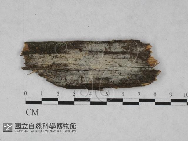 登錄號:F0028004藏品圖，第1張
