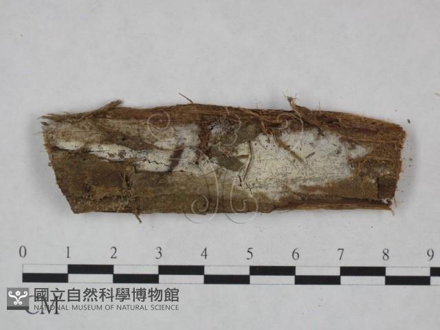 登錄號:F0024004藏品圖，第1張