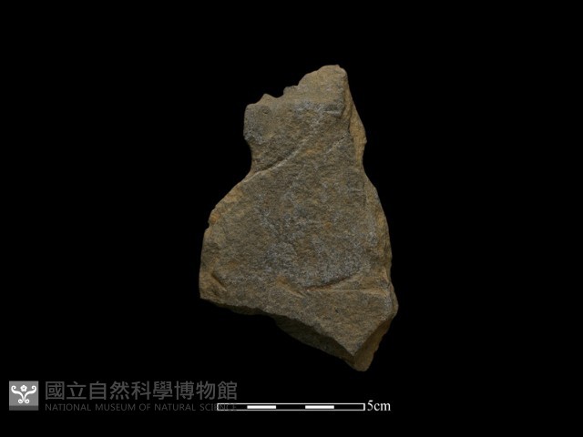 斧鋤形器藏品圖，第2張