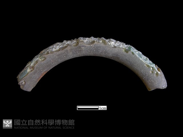 手鐲藏品圖，第3張