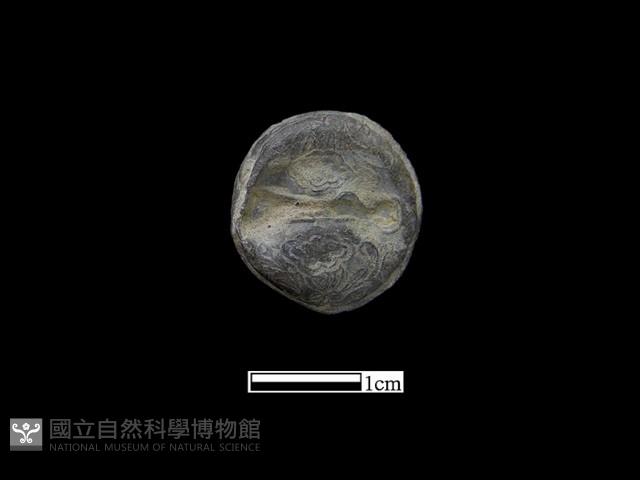 銅鈴藏品圖，第1張