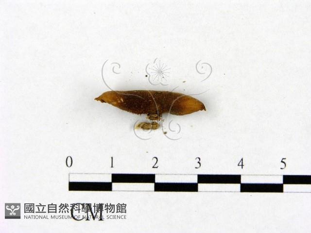 登錄號:F0014304藏品圖，第1張