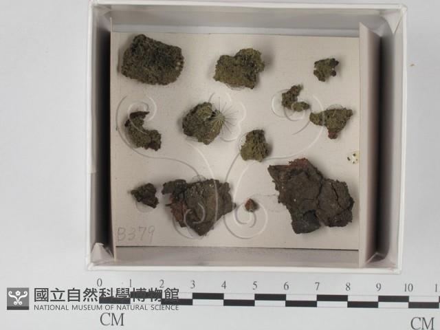 登錄號:F0018214藏品圖，第1張