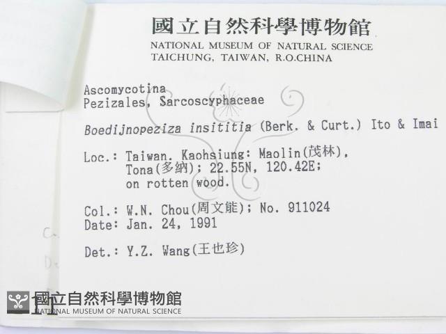 登錄號:F0001114藏品圖，第3張