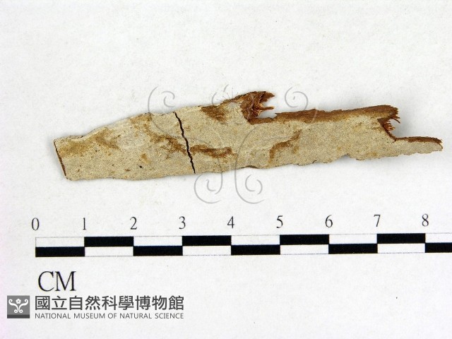 登錄號:F0004114藏品圖，第1張