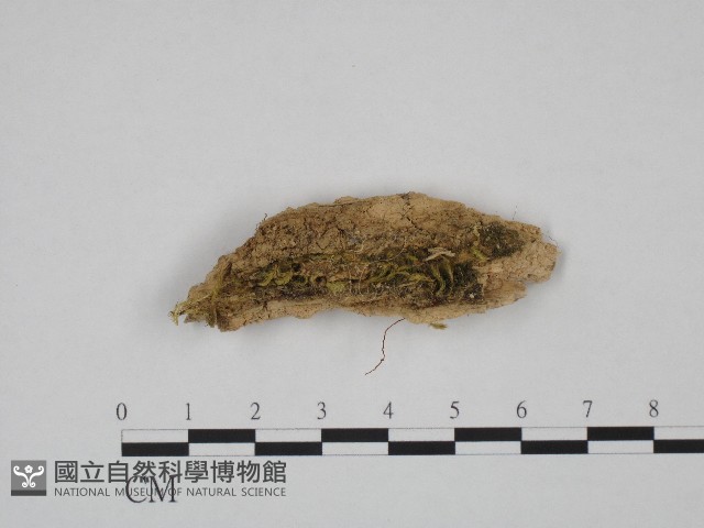 登錄號:F0003114藏品圖，第1張