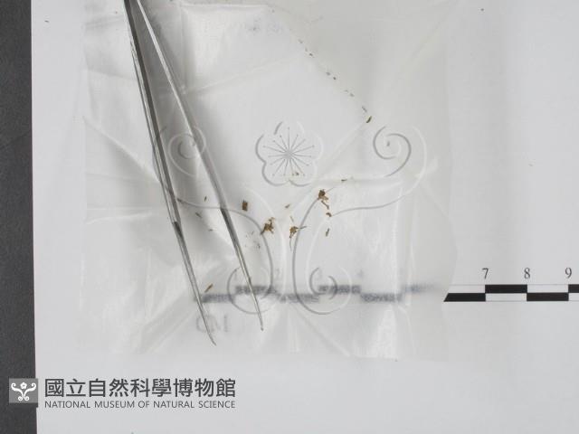 登錄號:F0001014藏品圖，第1張