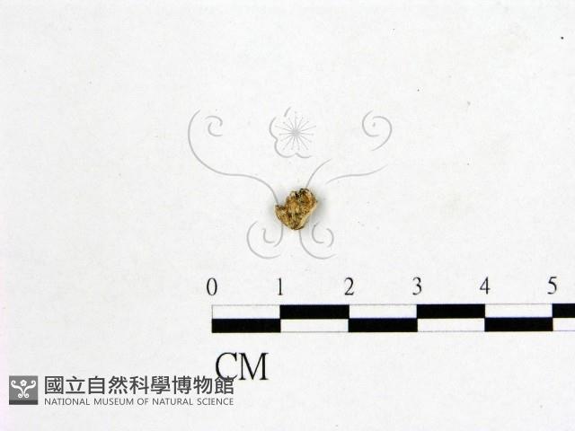 登錄號:F0009014藏品圖，第1張