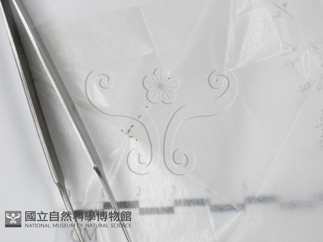 登錄號:F0003014藏品圖，第1張