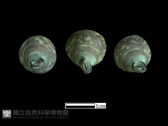 鈕子藏品圖，第3張