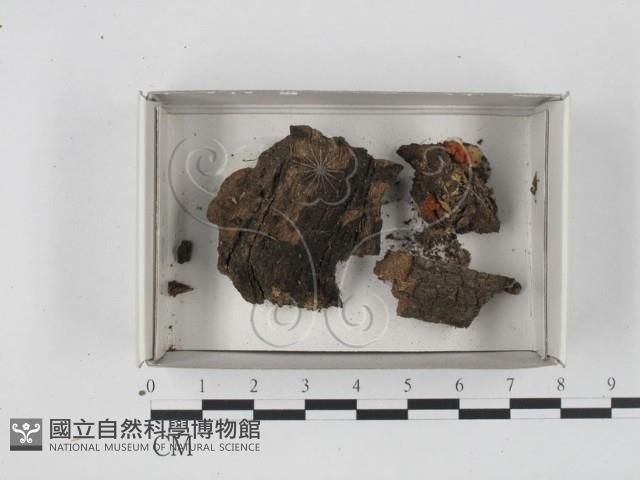 登錄號:F0018314藏品圖，第1張