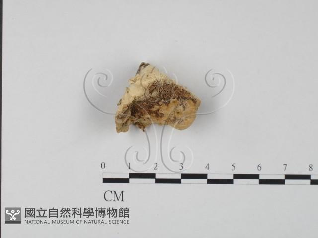 登錄號:F0007314藏品圖，第1張