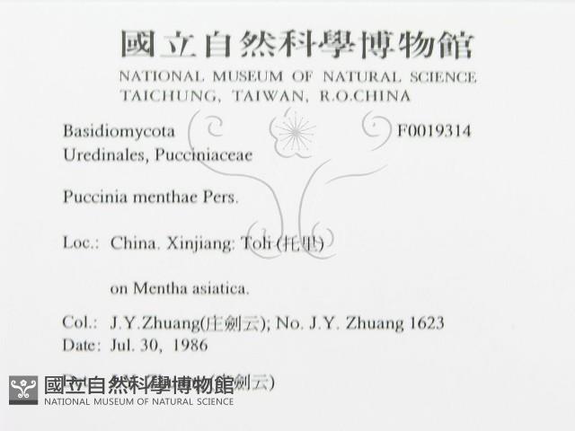 登錄號:F0019314藏品圖，第3張