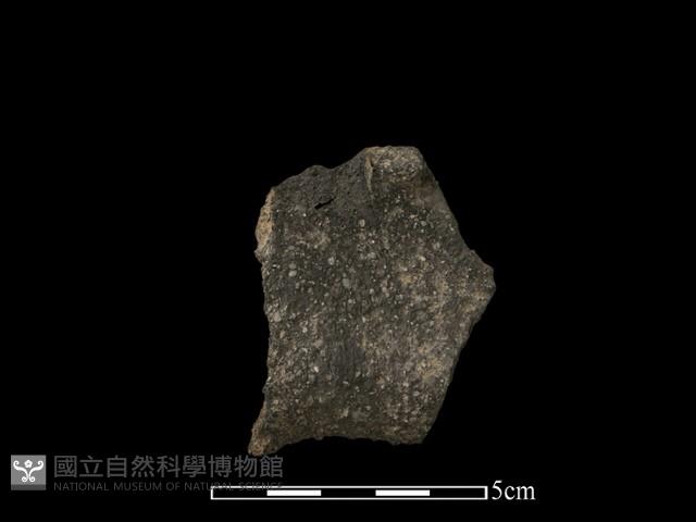 陶片藏品圖，第2張