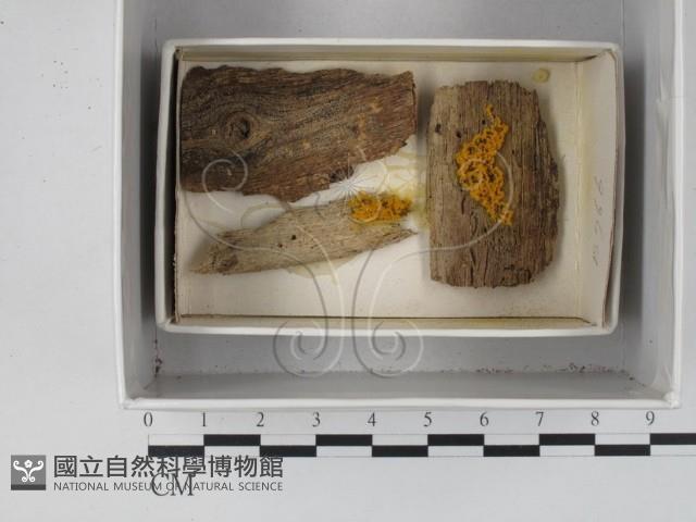 登錄號:F0018294藏品圖，第1張