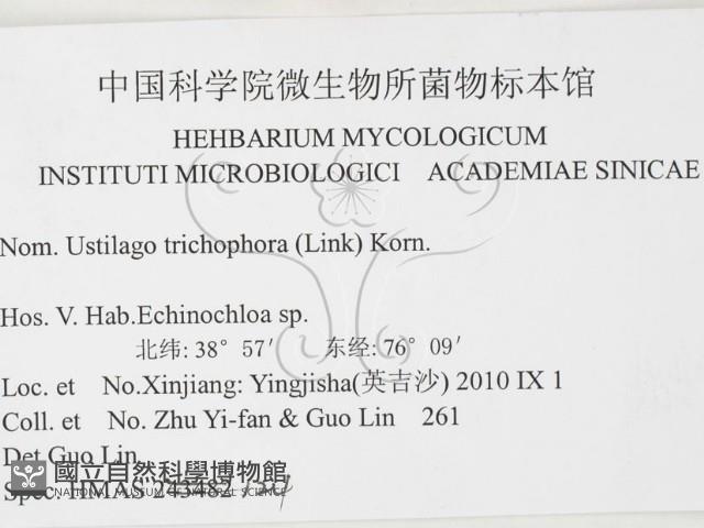 登錄號:F0026294藏品圖，第3張