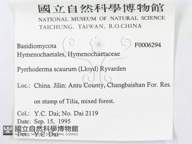 登錄號:F0006294藏品圖，第3張