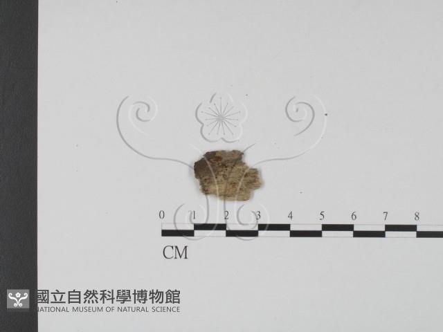 登錄號:F0001294藏品圖，第1張