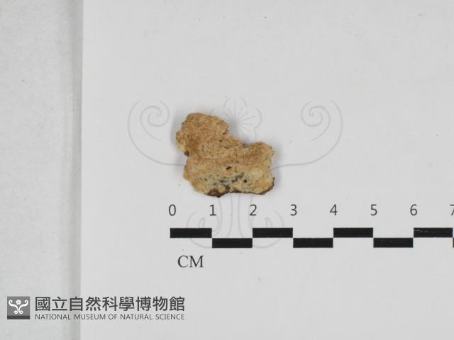登錄號:F0033294藏品圖，第1張