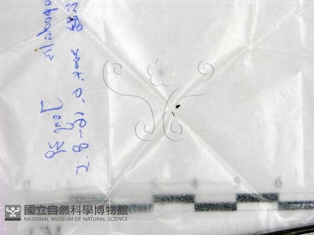 登錄號:F0016894藏品圖，第1張