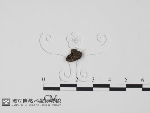 登錄號:F0000694藏品圖，第1張