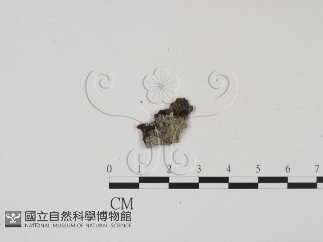 登錄號:F0011694藏品圖，第1張