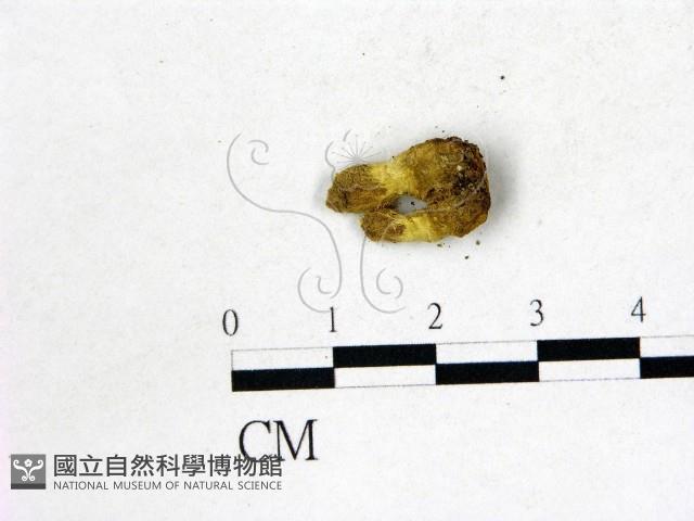 登錄號:F0022694藏品圖，第1張