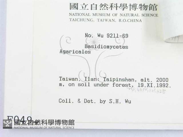 登錄號:F0000494藏品圖，第3張
