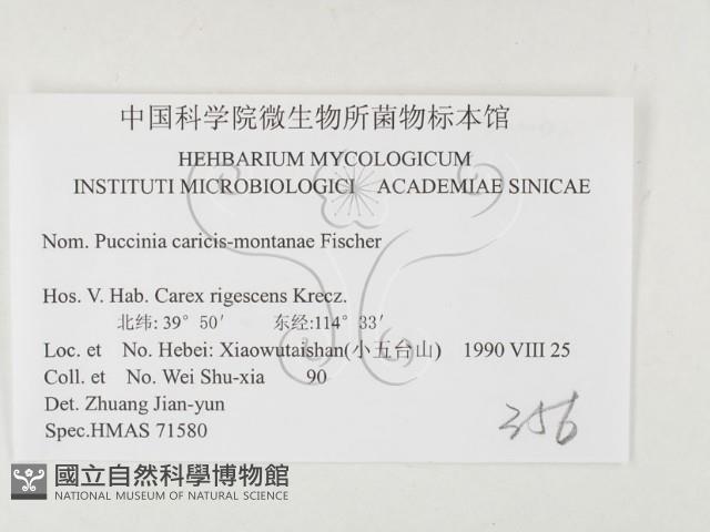 登錄號:F0026494藏品圖，第3張