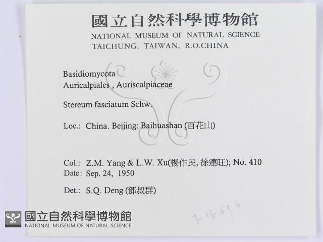 登錄號:F0016494藏品圖，第3張