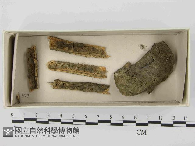 登錄號:F0021494藏品圖，第1張